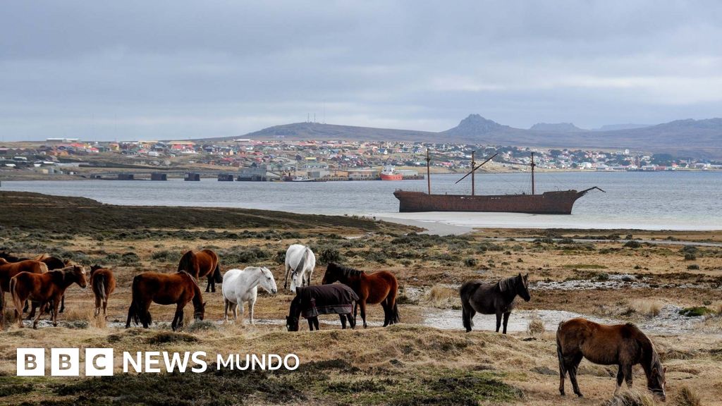 Por qué las islas Malvinas/Falklands ofrecen a Trump una vía para presionar a Reino Unido