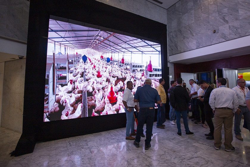 consumo de proteína en Venezuela