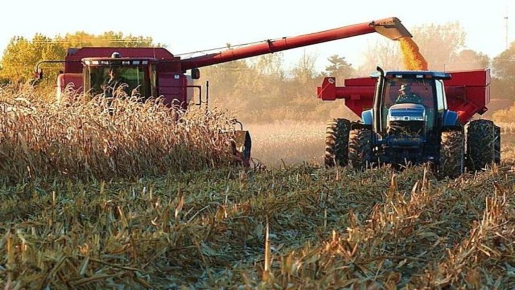 Productores agrícolas en Venezuela exigen "mismo nivel" de atención que petróleo y minería