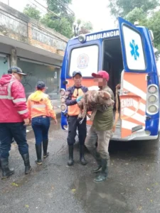 Rescatan a canino durante ataque de abejas en Ureña