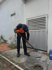 Rescatan a tres gatos atrapados en un local de Ureña