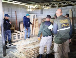 Retienen productos forestales ilegales