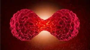 Revelan el insólito funcionamiento de una proteína implicada en varios casos de cáncer