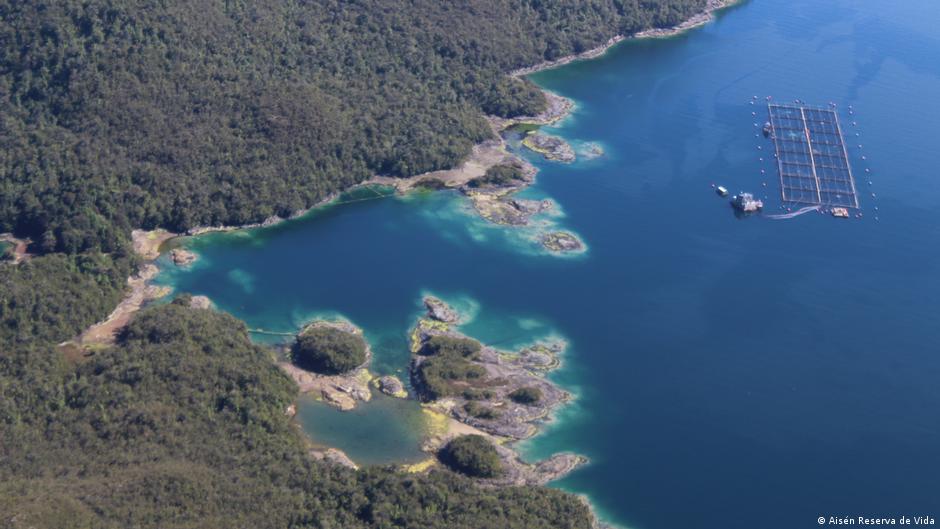 Salmoneras en la Patagonia: ¿qué pasa bajo la superficie?