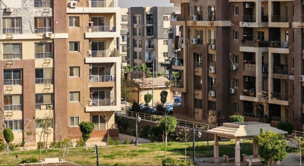 Se insta a los hogares españoles a espolvorear canela en la entrada de casa antes de mayo: el aumento de las temperaturas trae consigo un visitante no deseado
