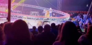 Tigre saltó sobre el público durante un espectáculo circense en Rusia y desató el pánico (VIDEO)