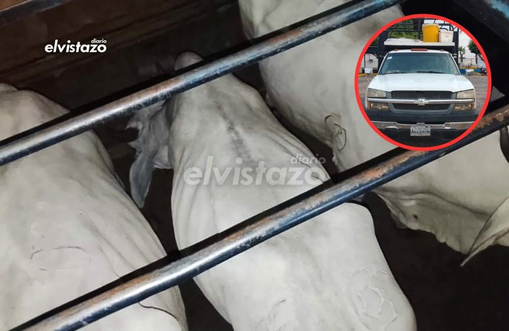 Tres ciudadanos y un funcionario INSAI detenidos en Polianzoátegui El Tigre por irregularidades en guías de movilización de ganado