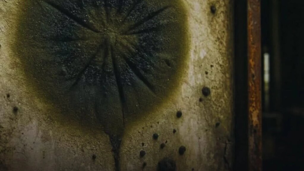 Un hongo negro prospera dentro del reactor de Chernóbil donde no debería haber vida. La sorprendente adaptación biológica que desafía la radiación