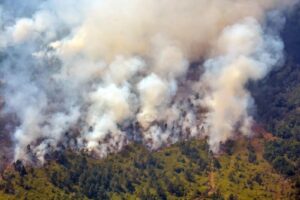 Un incendio aún activo ha quemado más de 400 hectáreas de bosque al oeste de Cuba – AlbertoNews