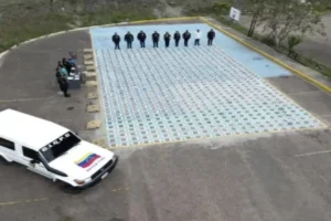 incauta 440 kilos de marihuana ocultos en cargamento de hortalizas