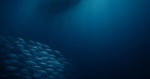 ¿Cuánto sabes sobre la desaparición masiva de peces detectada en el océano?
