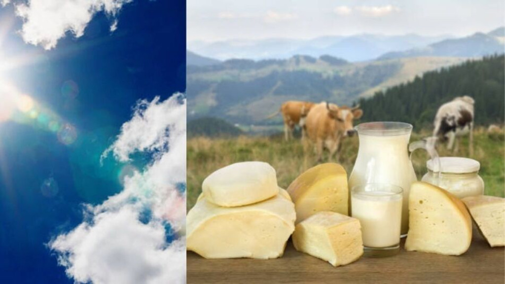 ¿Subirán los precios de la leche y el queso por el fenómeno de El Niño en Colombia? Ganaderos advierten del impacto: 'Esto es muy preocupante'
