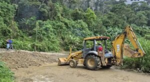 Ejecutan labores de despeje en la Troncal 002 en Mérida