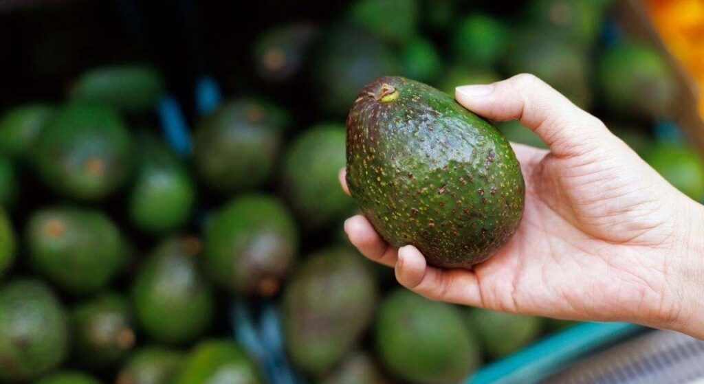 Adiós a los aguacates pasados: el truco definitivo que debes usar en el supermercado para elegir el más cremoso