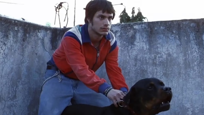 «Amores perros» será una serie de televisión de la mano de la productora de Sofía Vergara