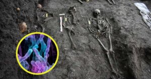 Arqueólogos descubren que los huesos medievales conservan un “registro oculto” de bacterias que revela cómo desaparecen los cuerpos