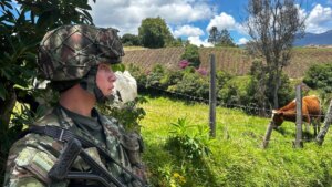 Autoridades de Nariño investigan amenazas de grupo armado contra campesinos previo a elecciones presidenciales: ‘Se va a exigir certificado electoral’