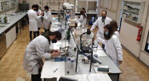 Becas Sof.ia para impulsar el talento femenino STEM en Zaragoza