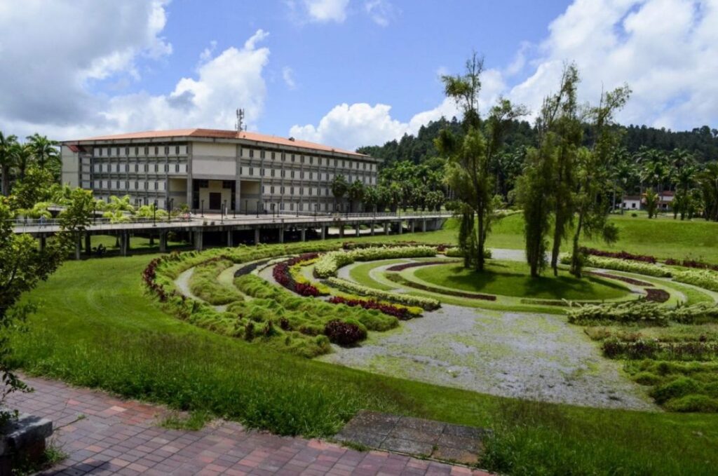 Capturan a caimán que vivía en la piscina olímpica de la Universidad Simón Bolívar (FOTO)