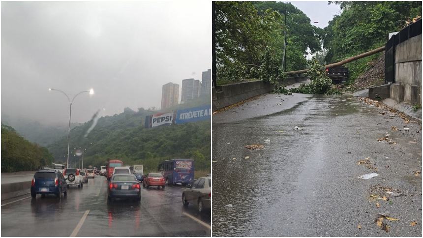 Caracas colapsó tras las lluvias de este 13 de mayo: Árboles caídos y zonas sin luz