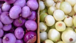 Cebolla morada vs blanca: diferencias, propiedades nutricionales y beneficios para la salud