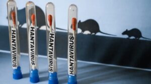 Científicos argentinos desarrollaron un spray nasal que podría prevenir el hantavirus – AlbertoNews