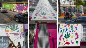 Ciudad de México se pinta de ajolotes a días del Mundial, mientras la especie desaparece