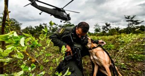 Cocaína, la guerra que Colombia no logra ganar