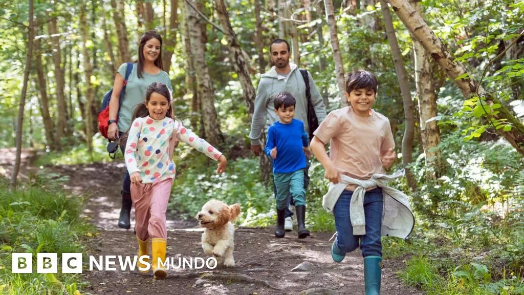 Cómo estar apenas 20 minutos en contacto con la naturaleza puede mejorar tu salud