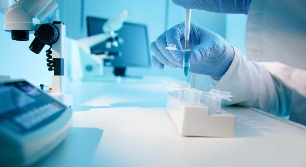 Confirmado por investigadores: un nuevo mecanismo del sistema inmune mejora la comprensión de la respuesta frente a infecciones