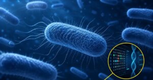 Crean una bacteria capaz de vivir con 19 aminoácidos durante 450 generaciones: la regla de los 20 ya no parece intocable 