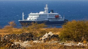 Crecen los casos sospechosos de hantavirus en el crucero: una mujer que no estuvo a bordo está en la mira