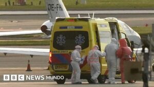Crucero con brote de hantavirus: «No tiene nada que ver con la covid, es un virus con escasa capacidad para producir epidemias o una pandemia»