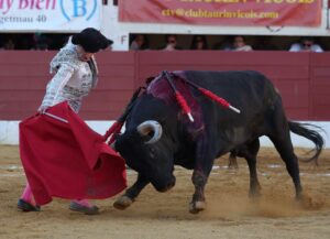 Damián Castaño y la emoción de la verdad ante un toro de Miura