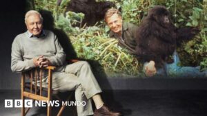 David Attenborough cumple 100 años: cómo se hizo «La vida en la Tierra», el documental que transformó nuestra manera de ver la naturaleza