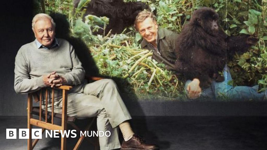 David Attenborough cumple 100 años: cómo se hizo "La vida en la Tierra", el documental que transformó nuestra manera de ver la naturaleza