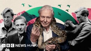David Attenborough cumple 100 años: la vida en imágenes del arriesgado documentalista que cambió la forma en que vemos nuestro planeta