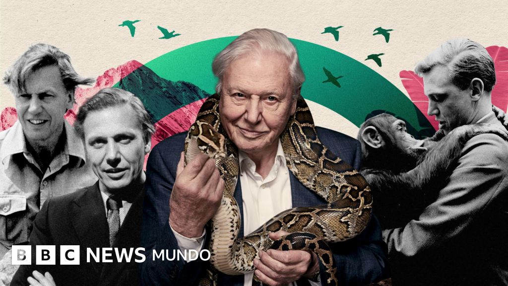 David Attenborough cumple 100 años: la vida en imágenes del arriesgado documentalista que cambió la forma en que vemos nuestro planeta
