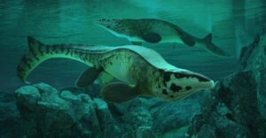 Descubren el T. rex de los mares