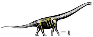 Descubren el dinosaurio herbívoro más grande del sudeste asiático