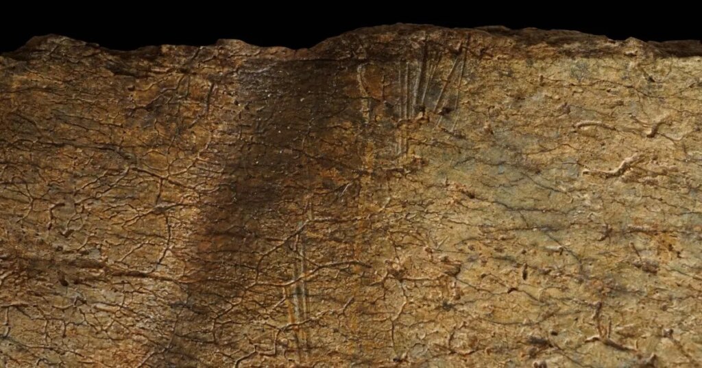 Descubren en Kenia huesos de 1,6 millones de años con cortes tan precisos que cambian lo que sabíamos sobre los primeros humanos