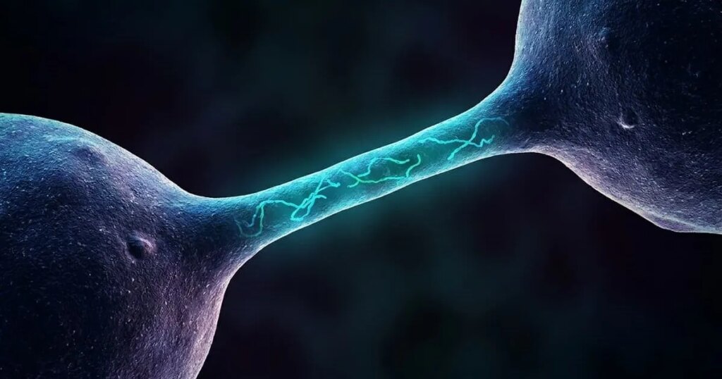 Descubren que el ADN dañado viaja entre células por nanotubos y reescribe genomas vecinos de forma heredable