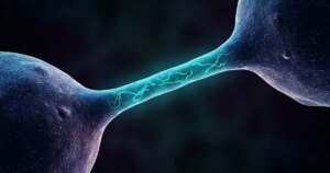 Descubren que el ADN dañado viaja entre células por nanotubos y reescribe genomas vecinos de forma heredable