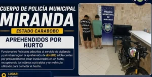 Detenidos dos adolescentes por presunto hurto residencial