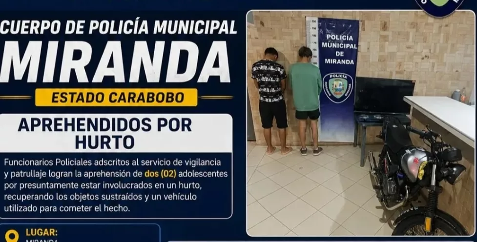 Detenidos dos adolescentes por presunto hurto residencial
