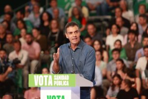 El PSOE fía las generales al voto útil de la izquierda