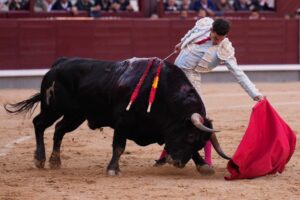 El corazón torero también envejece