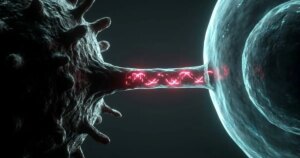 El lado más oscuro del ADN: el materiale genético dañado puede viajar por nanotubos y reprogramar a las células sanas