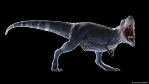 El misterio de los bracitos del «T. Rex» tiene respuesta