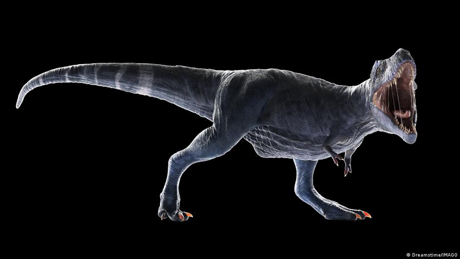 El misterio de los bracitos del "T. Rex" tiene respuesta
